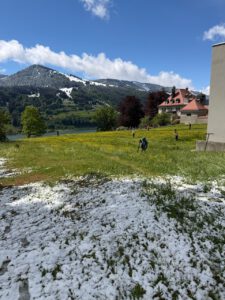 die Sonne kommt, der Schnee taut