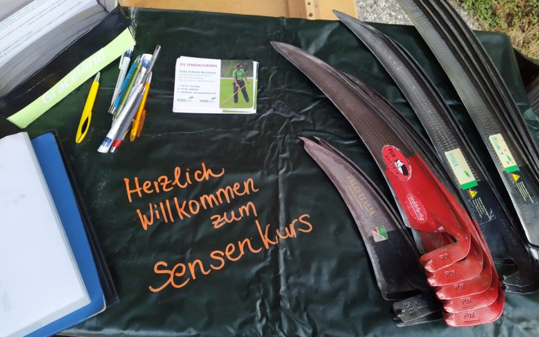 Sensenkurs