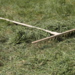 Holzrechen von Josef Frauenschuh